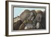 Lava-Pietro Fabris-Framed Giclee Print