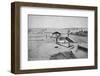 'Lavadouro de Cafe', (Washing Coffee), 1895-Axel Frick-Framed Photographic Print