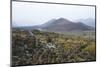 Lavafields, Helgafellssveit, Berserkjahraun, Snaefellsnes, West Iceland-Julia Wellner-Mounted Photographic Print