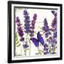 Lavande I-Color Bakery-Framed Giclee Print