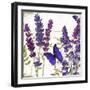 Lavande I-Color Bakery-Framed Giclee Print