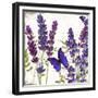 Lavande I-Color Bakery-Framed Giclee Print