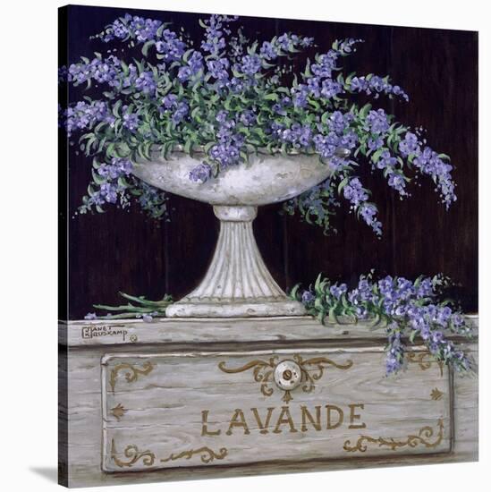 Lavande-Janet Kruskamp-Stretched Canvas