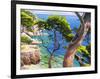 Lavandou-Adriano Galasso-Framed Art Print