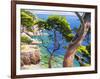 Lavandou-Adriano Galasso-Framed Art Print