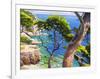 Lavandou-Adriano Galasso-Framed Art Print