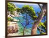 Lavandou-Adriano Galasso-Framed Art Print