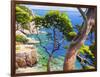 Lavandou-Adriano Galasso-Framed Art Print