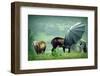 Lavasa Rain-Gaurav Patil-Framed Photographic Print