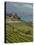 Lavaux Terraced Vineyards on Lake Geneva, Montreux, Canton Vaud, Switzerland, Europe-Angelo Cavalli-Stretched Canvas