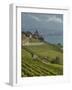 Lavaux Terraced Vineyards on Lake Geneva, Montreux, Canton Vaud, Switzerland, Europe-Angelo Cavalli-Framed Photographic Print