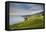 Lavaux Terraced Vineyards on Lake Geneva, Montreux, Canton Vaud, Switzerland, Europe-Angelo Cavalli-Framed Stretched Canvas