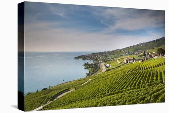 Lavaux Terraced Vineyards on Lake Geneva, Montreux, Canton Vaud, Switzerland, Europe-Angelo Cavalli-Stretched Canvas