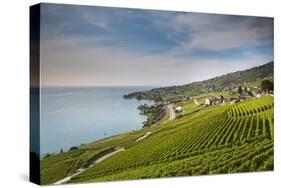 Lavaux Terraced Vineyards on Lake Geneva, Montreux, Canton Vaud, Switzerland, Europe-Angelo Cavalli-Stretched Canvas