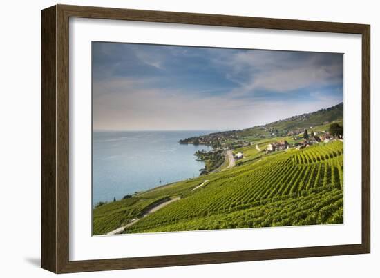 Lavaux Terraced Vineyards on Lake Geneva, Montreux, Canton Vaud, Switzerland, Europe-Angelo Cavalli-Framed Photographic Print