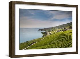 Lavaux Terraced Vineyards on Lake Geneva, Montreux, Canton Vaud, Switzerland, Europe-Angelo Cavalli-Framed Photographic Print