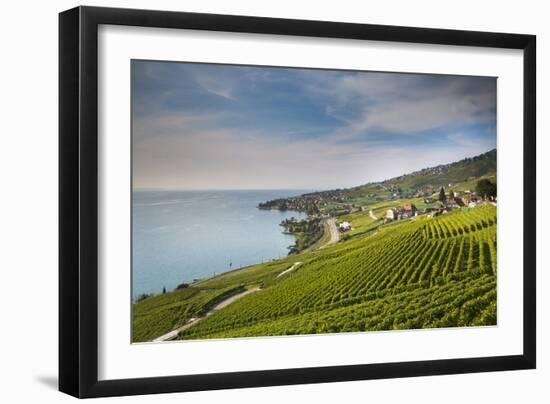 Lavaux Terraced Vineyards on Lake Geneva, Montreux, Canton Vaud, Switzerland, Europe-Angelo Cavalli-Framed Photographic Print