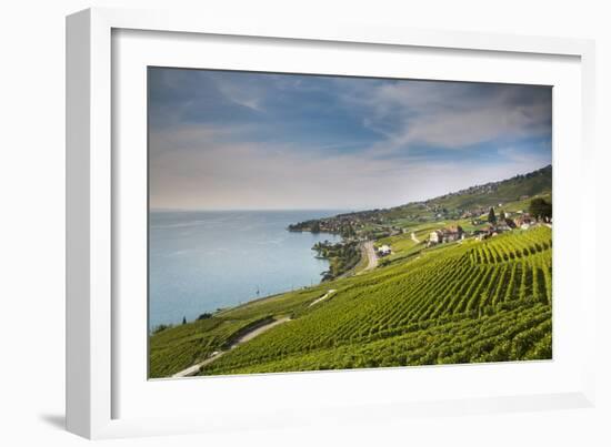 Lavaux Terraced Vineyards on Lake Geneva, Montreux, Canton Vaud, Switzerland, Europe-Angelo Cavalli-Framed Photographic Print