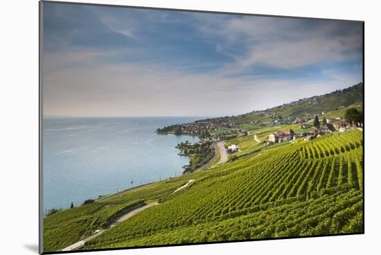 Lavaux Terraced Vineyards on Lake Geneva, Montreux, Canton Vaud, Switzerland, Europe-Angelo Cavalli-Mounted Photographic Print