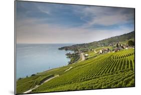 Lavaux Terraced Vineyards on Lake Geneva, Montreux, Canton Vaud, Switzerland, Europe-Angelo Cavalli-Mounted Photographic Print