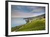 Lavaux Terraced Vineyards on Lake Geneva, Montreux, Canton Vaud, Switzerland, Europe-Angelo Cavalli-Framed Photographic Print