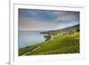 Lavaux Terraced Vineyards on Lake Geneva, Montreux, Canton Vaud, Switzerland, Europe-Angelo Cavalli-Framed Photographic Print