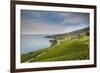 Lavaux Terraced Vineyards on Lake Geneva, Montreux, Canton Vaud, Switzerland, Europe-Angelo Cavalli-Framed Photographic Print