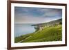 Lavaux Terraced Vineyards on Lake Geneva, Montreux, Canton Vaud, Switzerland, Europe-Angelo Cavalli-Framed Photographic Print