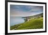 Lavaux Terraced Vineyards on Lake Geneva, Montreux, Canton Vaud, Switzerland, Europe-Angelo Cavalli-Framed Photographic Print