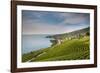 Lavaux Terraced Vineyards on Lake Geneva, Montreux, Canton Vaud, Switzerland, Europe-Angelo Cavalli-Framed Photographic Print