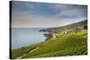 Lavaux Terraced Vineyards on Lake Geneva, Montreux, Canton Vaud, Switzerland, Europe-Angelo Cavalli-Stretched Canvas