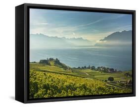 Lavaux Terraced Vineyards on Lake Geneva, Montreux, Canton Vaud, Switzerland, Europe-Angelo Cavalli-Framed Stretched Canvas