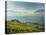 Lavaux Terraced Vineyards on Lake Geneva, Montreux, Canton Vaud, Switzerland, Europe-Angelo Cavalli-Stretched Canvas