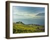 Lavaux Terraced Vineyards on Lake Geneva, Montreux, Canton Vaud, Switzerland, Europe-Angelo Cavalli-Framed Photographic Print