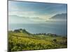 Lavaux Terraced Vineyards on Lake Geneva, Montreux, Canton Vaud, Switzerland, Europe-Angelo Cavalli-Mounted Photographic Print