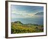 Lavaux Terraced Vineyards on Lake Geneva, Montreux, Canton Vaud, Switzerland, Europe-Angelo Cavalli-Framed Photographic Print