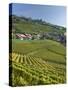 Lavaux Terraced Vineyards on Lake Geneva, Montreux, Canton Vaud, Switzerland, Europe-Angelo Cavalli-Stretched Canvas