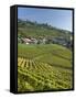 Lavaux Terraced Vineyards on Lake Geneva, Montreux, Canton Vaud, Switzerland, Europe-Angelo Cavalli-Framed Stretched Canvas