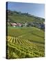 Lavaux Terraced Vineyards on Lake Geneva, Montreux, Canton Vaud, Switzerland, Europe-Angelo Cavalli-Stretched Canvas