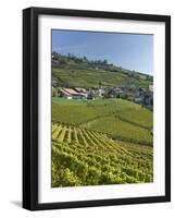 Lavaux Terraced Vineyards on Lake Geneva, Montreux, Canton Vaud, Switzerland, Europe-Angelo Cavalli-Framed Photographic Print