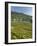 Lavaux Terraced Vineyards on Lake Geneva, Montreux, Canton Vaud, Switzerland, Europe-Angelo Cavalli-Framed Photographic Print