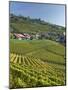 Lavaux Terraced Vineyards on Lake Geneva, Montreux, Canton Vaud, Switzerland, Europe-Angelo Cavalli-Mounted Photographic Print