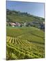 Lavaux Terraced Vineyards on Lake Geneva, Montreux, Canton Vaud, Switzerland, Europe-Angelo Cavalli-Mounted Photographic Print