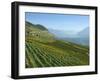 Lavaux Terraced Vineyards on Lake Geneva, Montreux, Canton Vaud, Switzerland, Europe-Angelo Cavalli-Framed Photographic Print