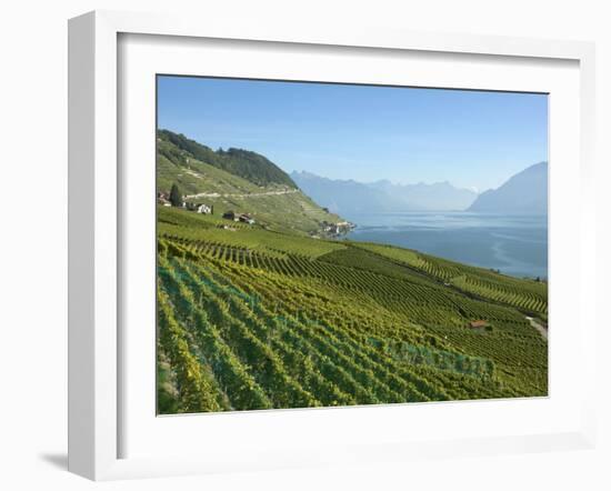 Lavaux Terraced Vineyards on Lake Geneva, Montreux, Canton Vaud, Switzerland, Europe-Angelo Cavalli-Framed Photographic Print