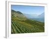 Lavaux Terraced Vineyards on Lake Geneva, Montreux, Canton Vaud, Switzerland, Europe-Angelo Cavalli-Framed Photographic Print