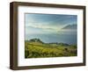 Lavaux Terraced Vineyards on Lake Geneva, Montreux, Canton Vaud, Switzerland, Europe-Angelo Cavalli-Framed Photographic Print