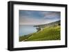 Lavaux Terraced Vineyards on Lake Geneva, Montreux, Canton Vaud, Switzerland, Europe-Angelo Cavalli-Framed Photographic Print