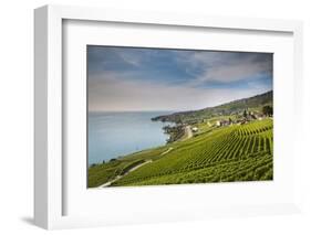 Lavaux Terraced Vineyards on Lake Geneva, Montreux, Canton Vaud, Switzerland, Europe-Angelo Cavalli-Framed Photographic Print