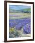 LAVENDAR-ALLAYN STEVENS-Framed Art Print